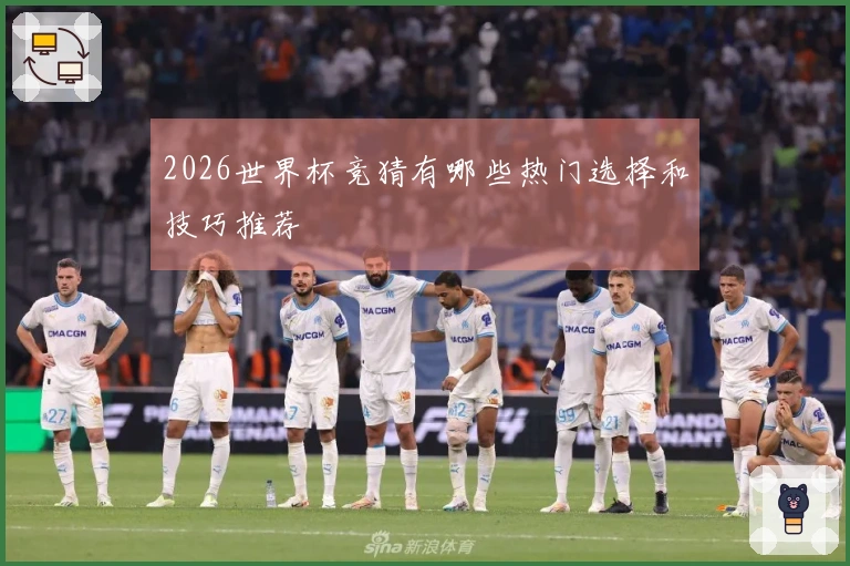 2026世界杯竞猜有哪些热门选择和技巧推荐